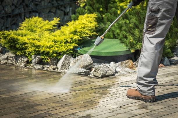 Best Pre-Holiday Cleaning  in Elmer, NJ