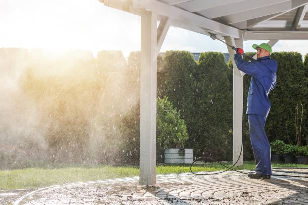 Animal Enclosure Cleaning in Elmer, NJ