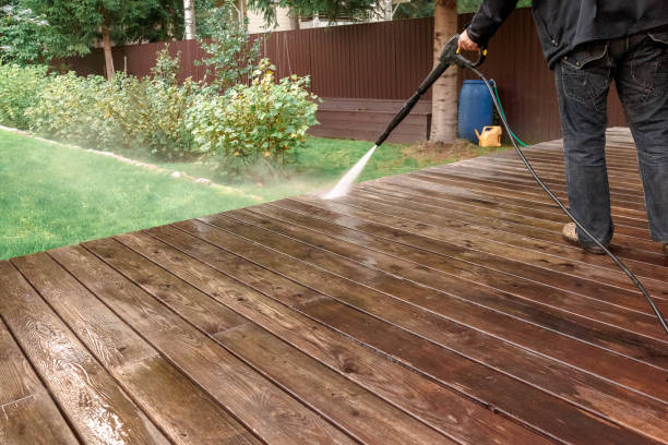 Best Gutter Cleaning  in Elmer, NJ